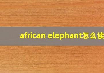 african elephant怎么读